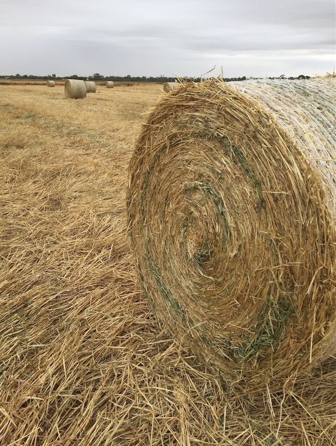 Oaten Hay 420kg approx. 5x4 Rolls Farm Tender